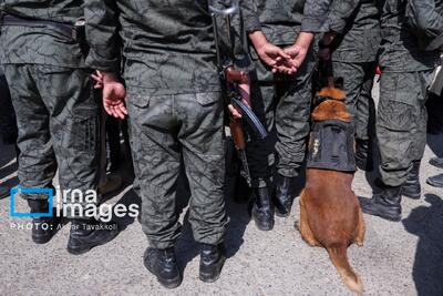 نمایشگاه بین‌المللی ایپاس ۲۰۲۵ آغاز به کار کرد / حضور ۲۳۰ شرکت داخلی و ۲۱ شرکت خارجی در مصلی تهران